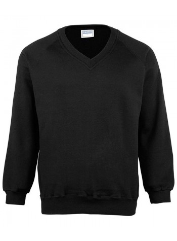 Maddins Coloursure™ v-neck sweatshirt 2