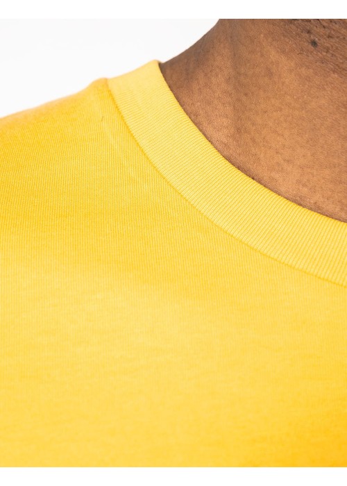 Native Spirit Unisex T-Shirt