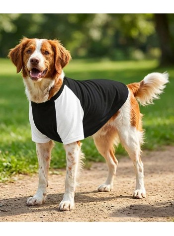 Portman & Pooch Dog’s raglan t-shirt