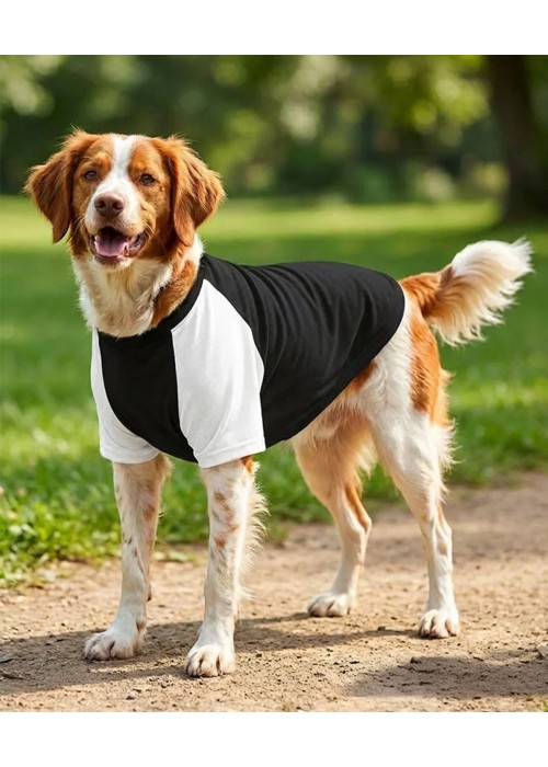 Portman & Pooch Dog’s raglan t-shirt