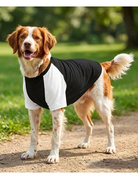 Portman & Pooch Dog’s raglan t-shirt