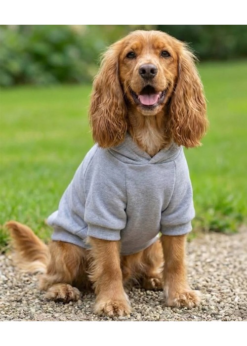 Portman & Pooch Dog’s hoodie