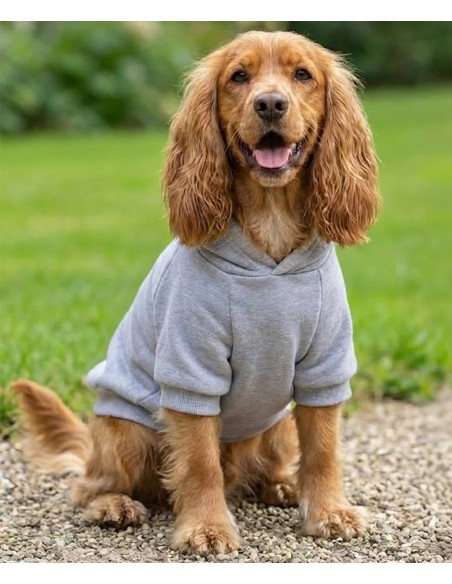 Portman & Pooch Dog’s hoodie