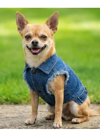 Portman & Pooch Dog’s denim jacket