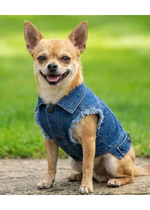 Portman & Pooch Dog’s denim jacket