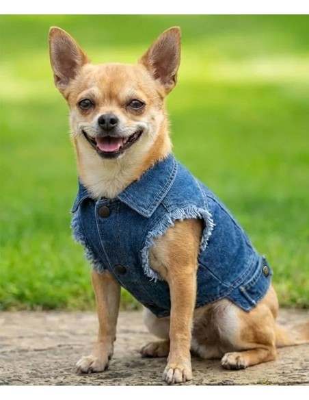 Portman & Pooch Dog’s denim jacket
