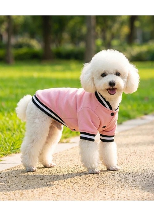 Portman & Pooch Dog’s varsity jacket
