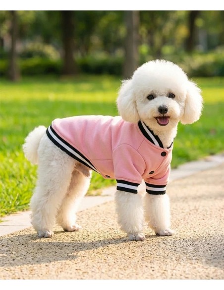 Portman & Pooch Dog’s varsity jacket
