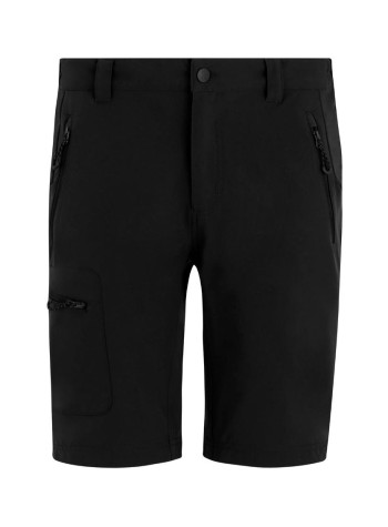 Regatta Professional Prolite stretch shorts 2