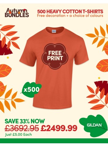 A bundle containing 500 of our best selling Heavy Cotton T-shirts with FREE PRINTING