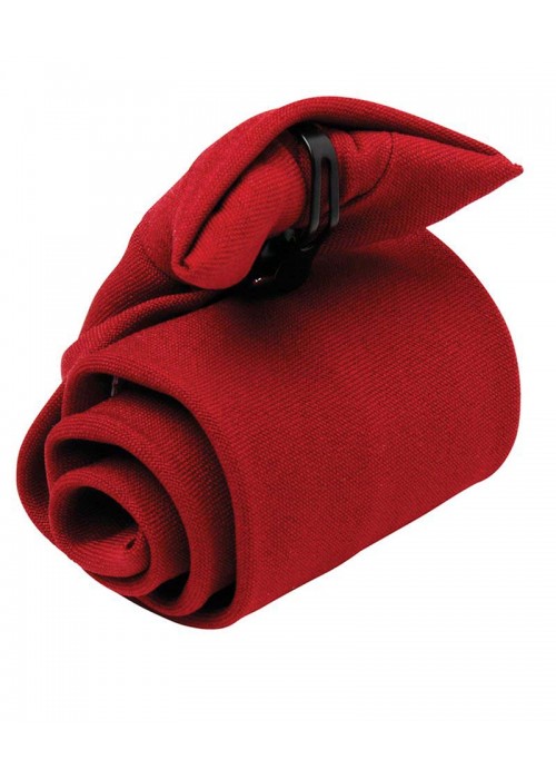 Premier Clip tie