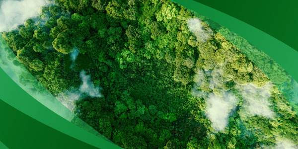 Looking for Sustainable Clothing in 2024: A Guide to Ethical Fashion