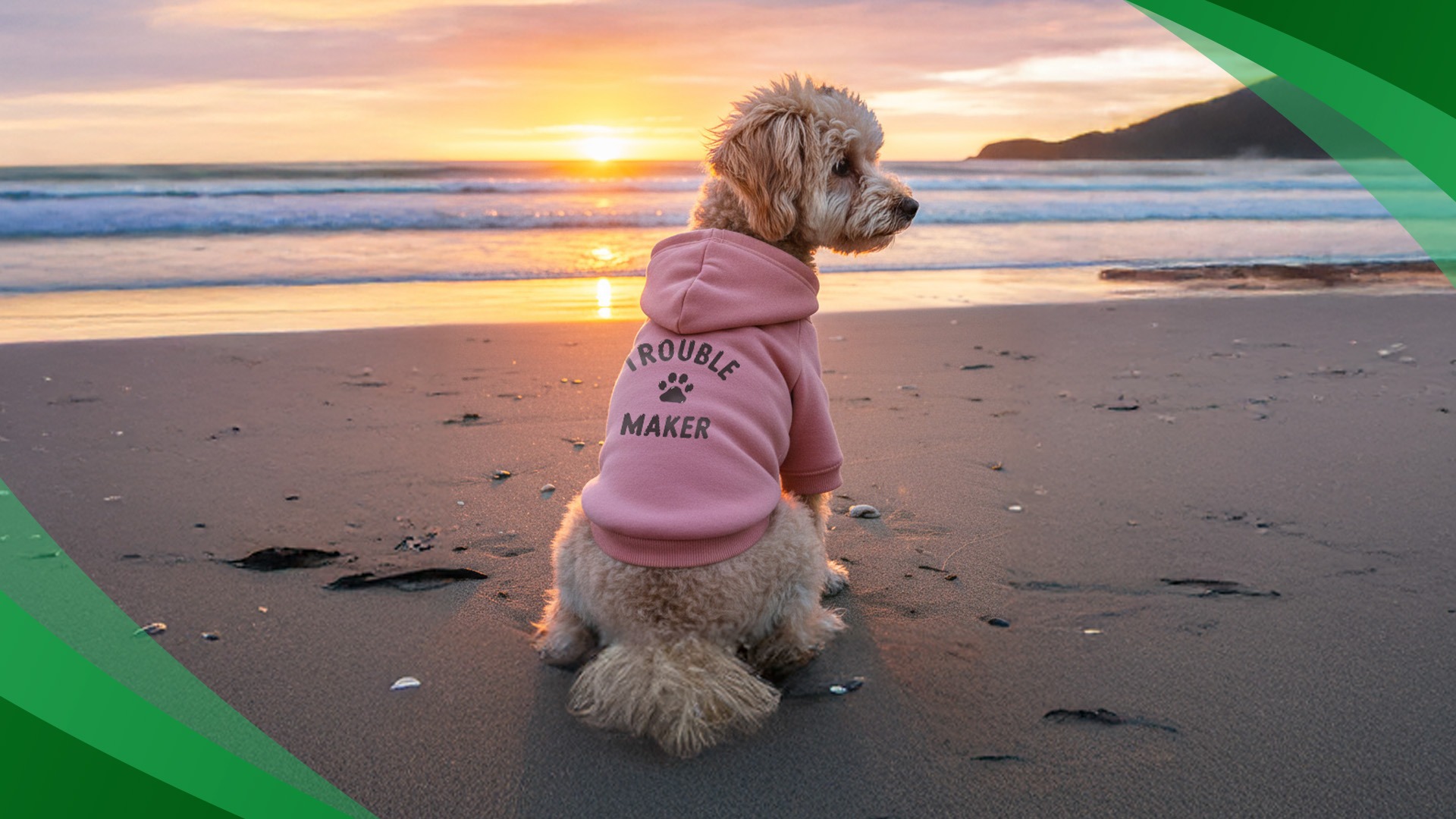 Why Your Dog Deserves a Wardrobe as Unique as They Are